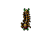 Centipede