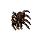 Tarantula