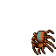 Poison Spider